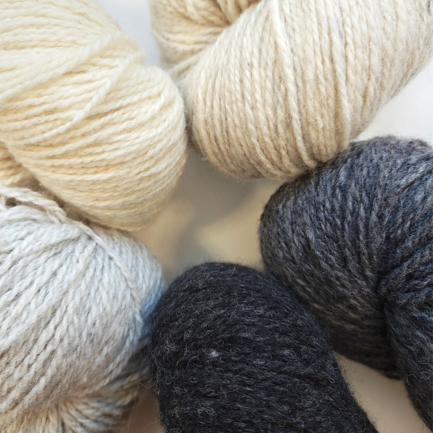 Wolle: "Organic Patagonia Merino" / Juniper Moon - Nd 3.75-4.5 - zertifiziert - à 350 m – Bild 5