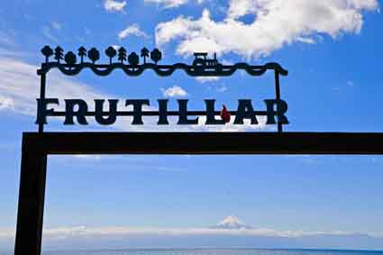 Anleitung: Wellhornschnecke - Turmschnecke - "Sea Snails" Whelk and Turitella – Bild 5