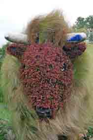 Anleitung: Wellhornschnecke - Turmschnecke - "Sea Snails" Whelk and Turitella – Bild 7