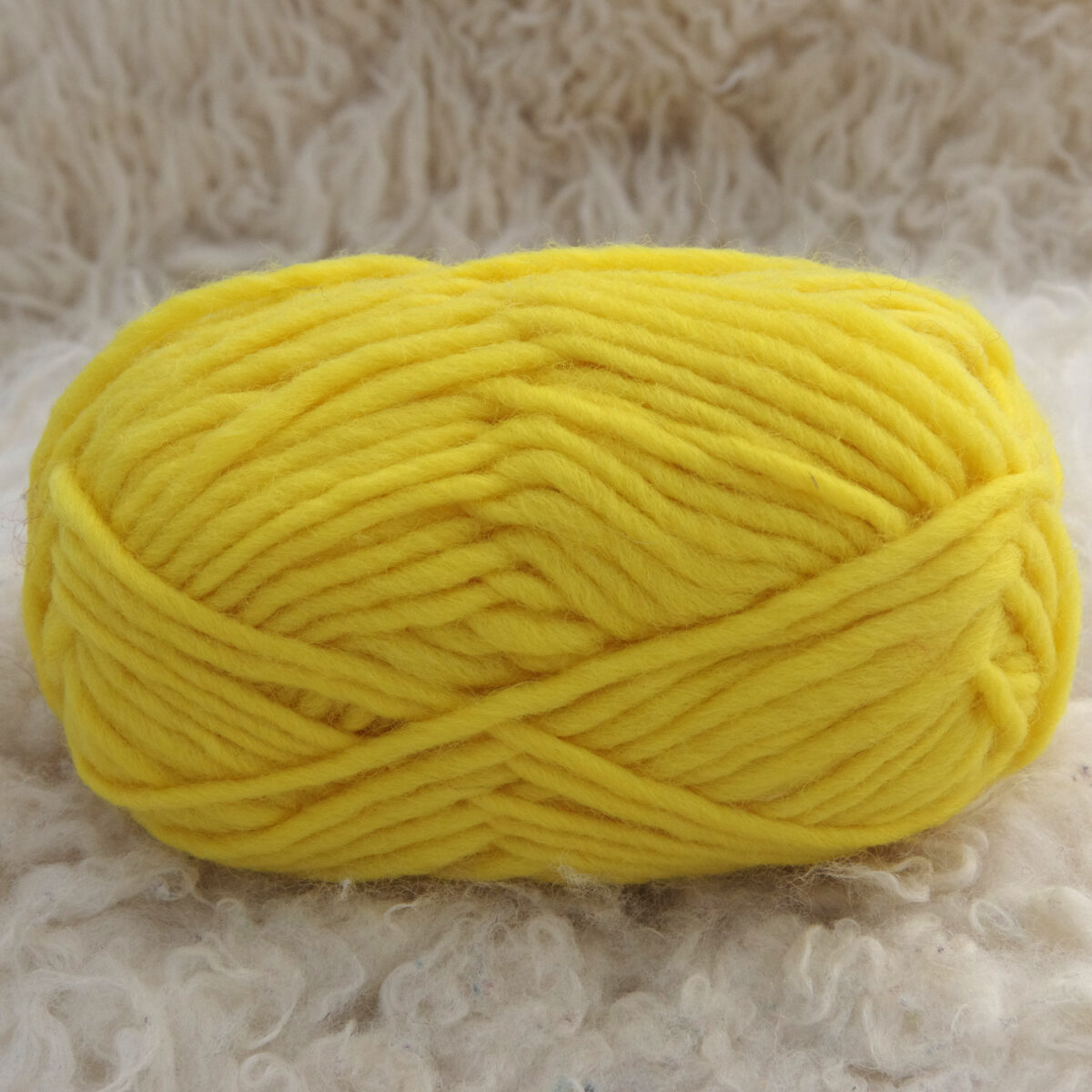 003 Zitrone