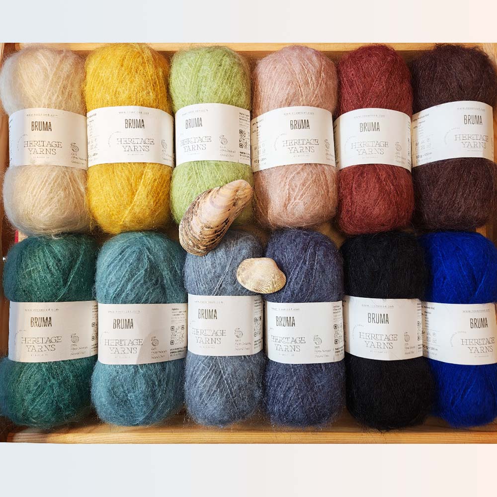 Bruma Titelbild 2026