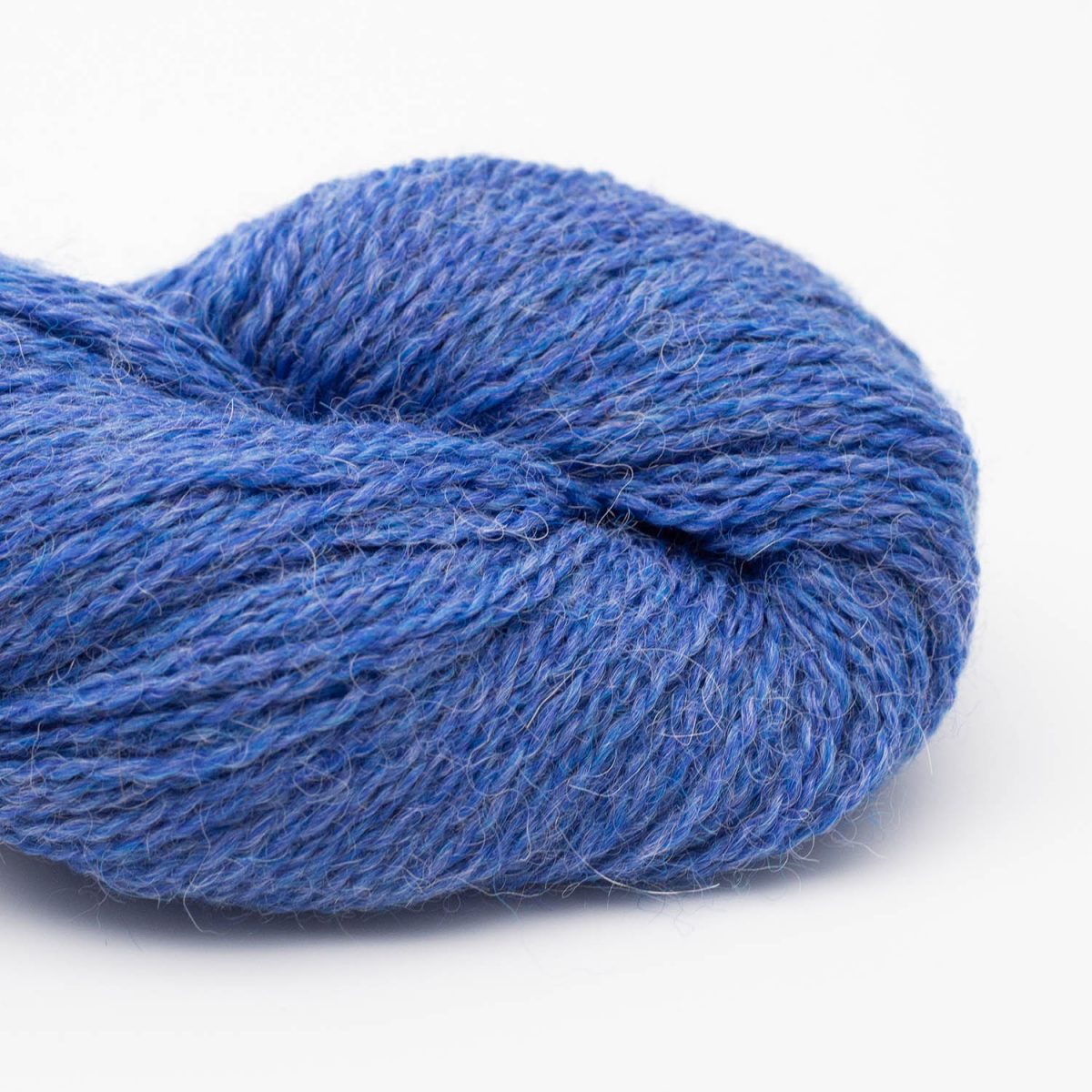116 Cyan-Wegwarte